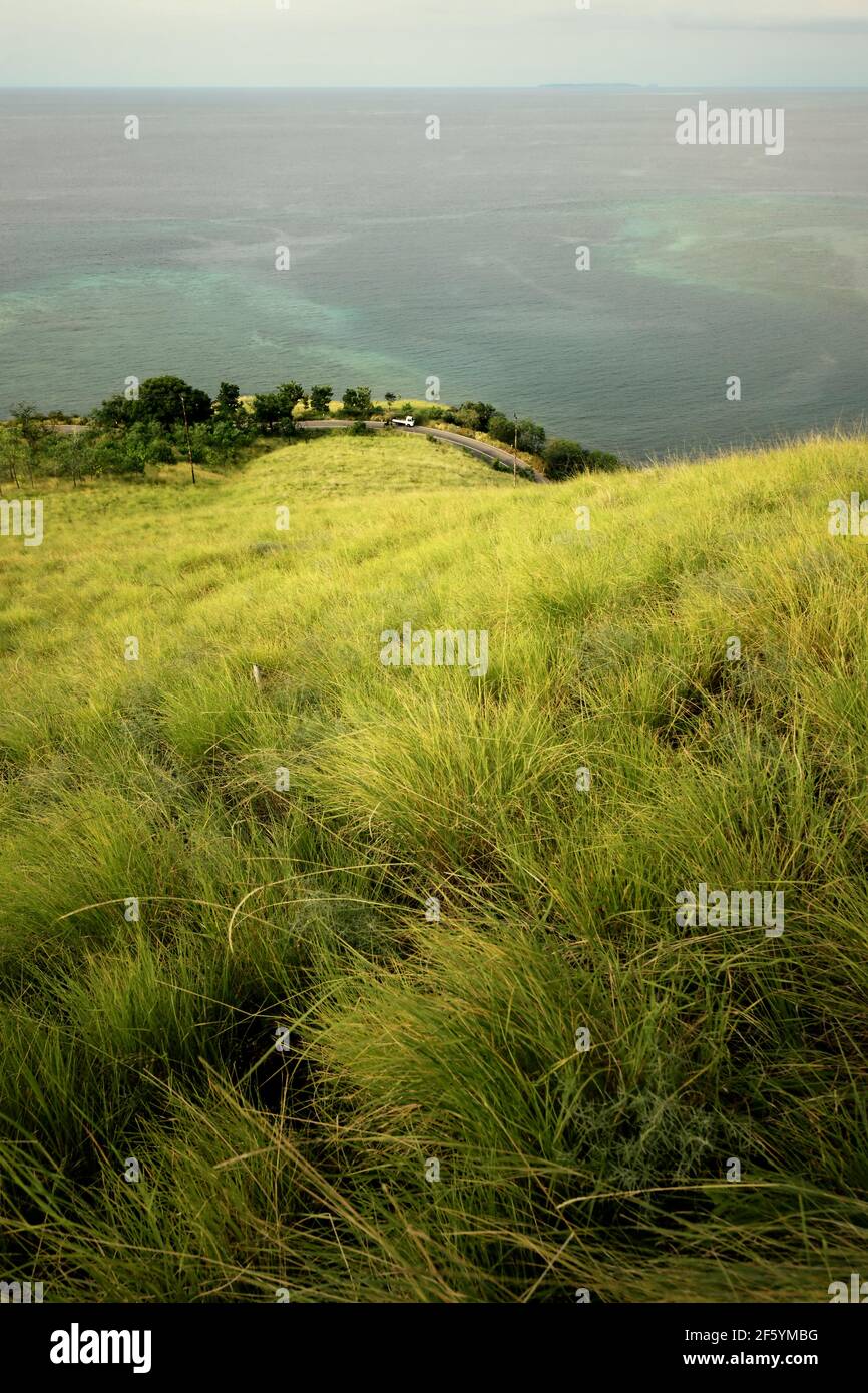 Grasland und eine Straße auf einem Küstenhügel mit Blick auf das Meer in Kajuwulu in der Nähe von Maumere, Flores Island, East Nusa Tenggara, Indonesien. Stockfoto