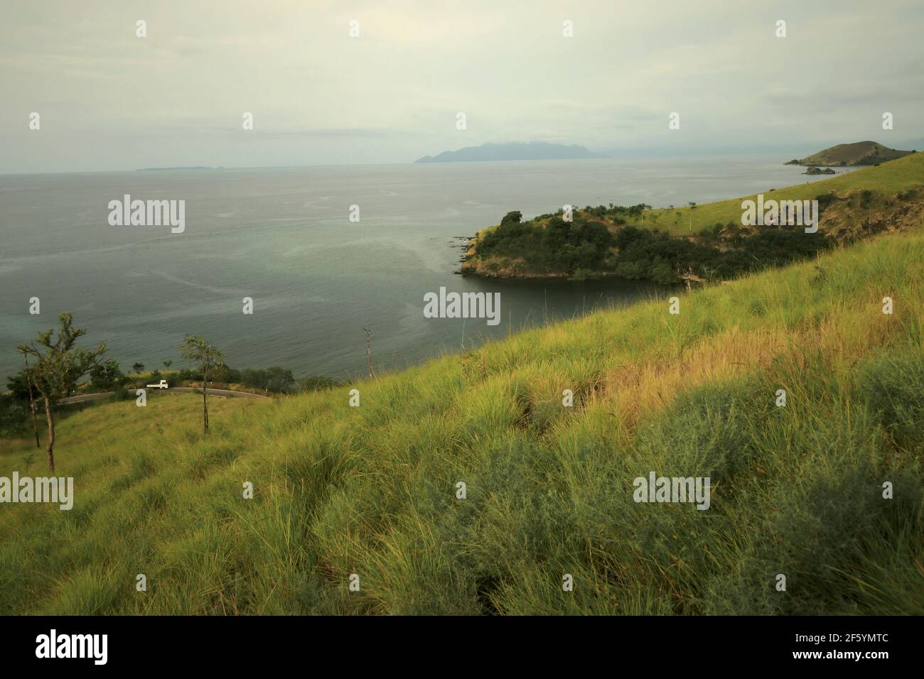Grasland auf Küstenhügeln in Kajuwulu bei Maumere, Flores Island, East Nusa Tenggara, Indonesien. Stockfoto