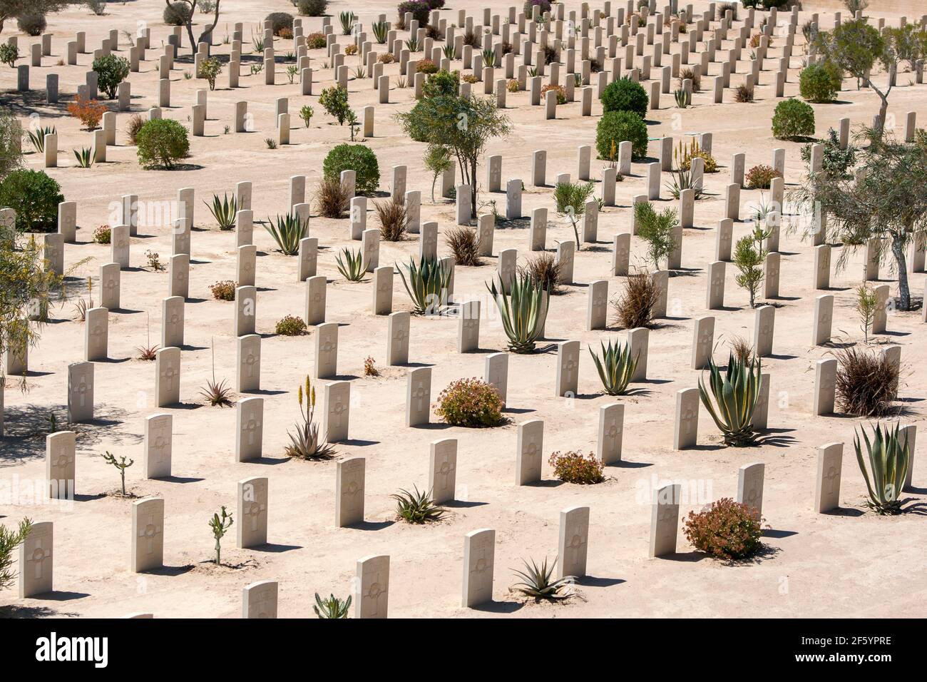 Commonwealth Kriegsgräber auf El Alamein Kriegsfriedhof in Nord-Ägypten. Der Friedhof enthält die Gräber von britischen Empire-Soldaten, die während des Jahres WW2 starben. Stockfoto