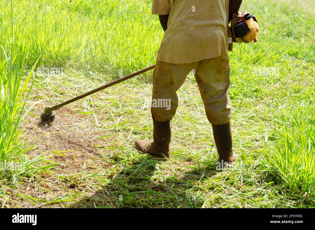 Grasschnitt Mit Unkraut-Trimmer Stockfoto