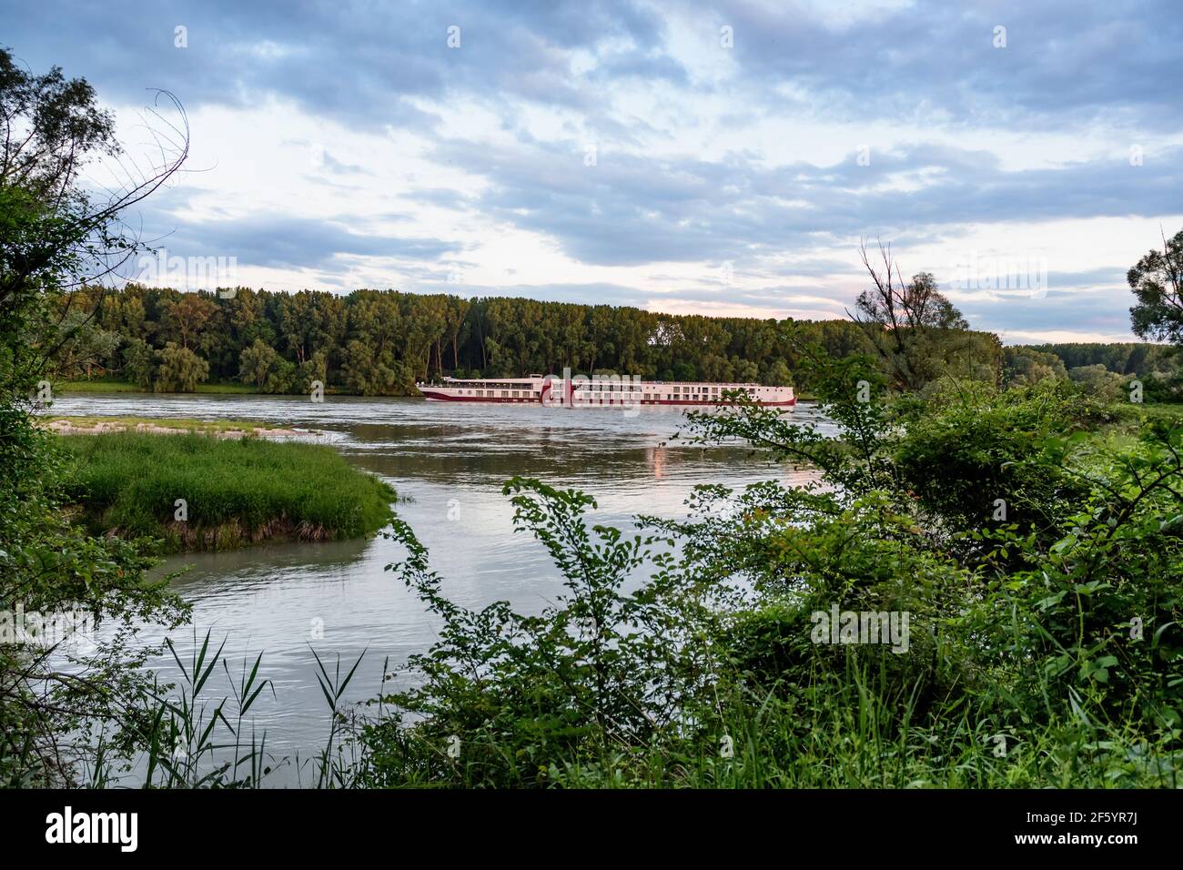 Kreuzfahrtschiff auf der donau in einem Uferwald in der Nähe der donau im österreichischen Nationalpark donauauen in orth, niederösterreich Stockfoto