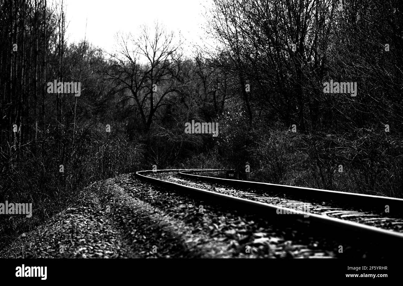 Stahlbahn Nahaufnahme Landschaftsbild in monochromer Ausführung. Bärenbäume entlang der Schienen. Kurviger Weg. Abstraktes Schwarz-Weiß-Foto. Harter Kontrast Stockfoto