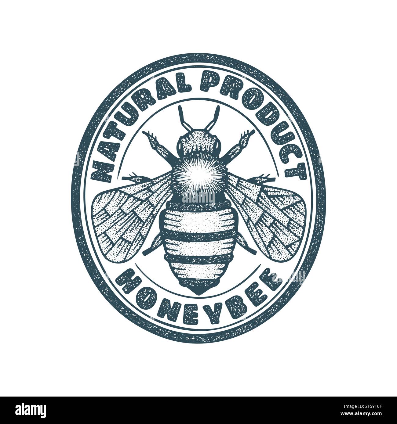 Honigbiene. Honey Biene handgezeichnete Vintage Stil Illustration und Logo Vorlage. Gravur Stil Biene Zeichnung. Stock Vektor