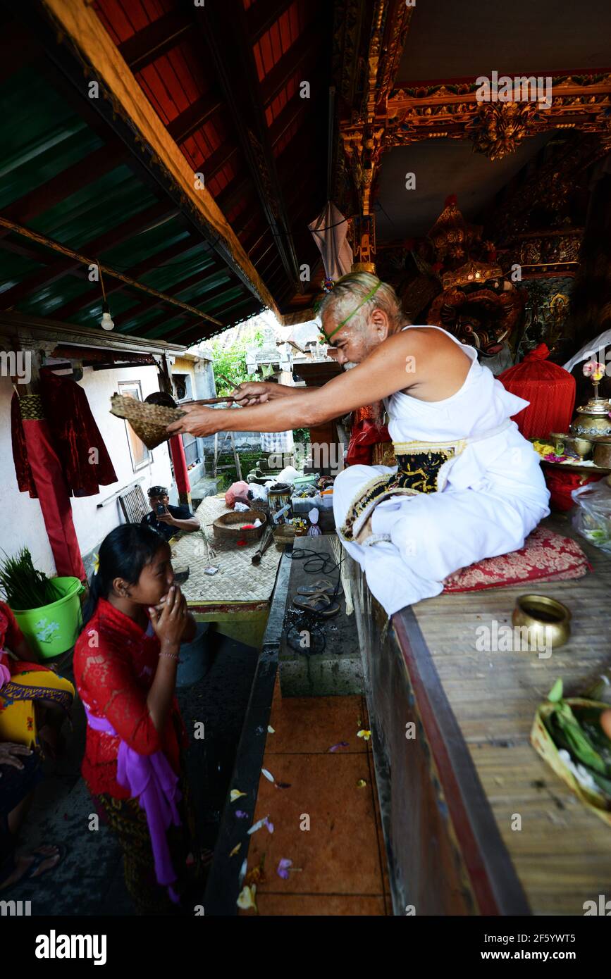 Ein balinesischer Hindu-Priester segnet einen Bräutigam in einer Vorhochzeit-Zeremonie in einem kleinen Tempel in Ubud, Bali, Indonesien. Stockfoto