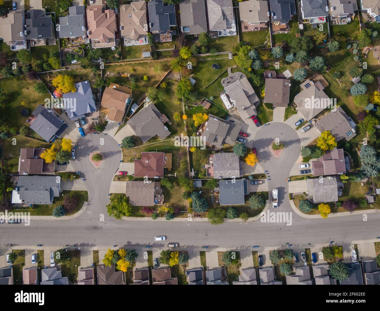 Luftaufnahme von oben nach unten von Häusern und Straßen in einer schönen Wohngegend während der Herbstsaison in Calgary, Alberta, Kanada. Stockfoto
