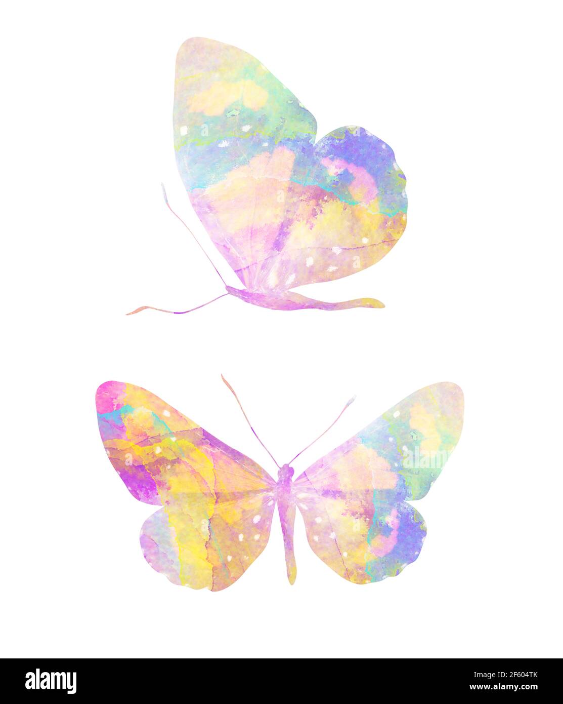 Bunte Aquarell Schmetterling. Tropisches Insekt für Design. Isoliert auf weißem Hintergrund Stockfoto