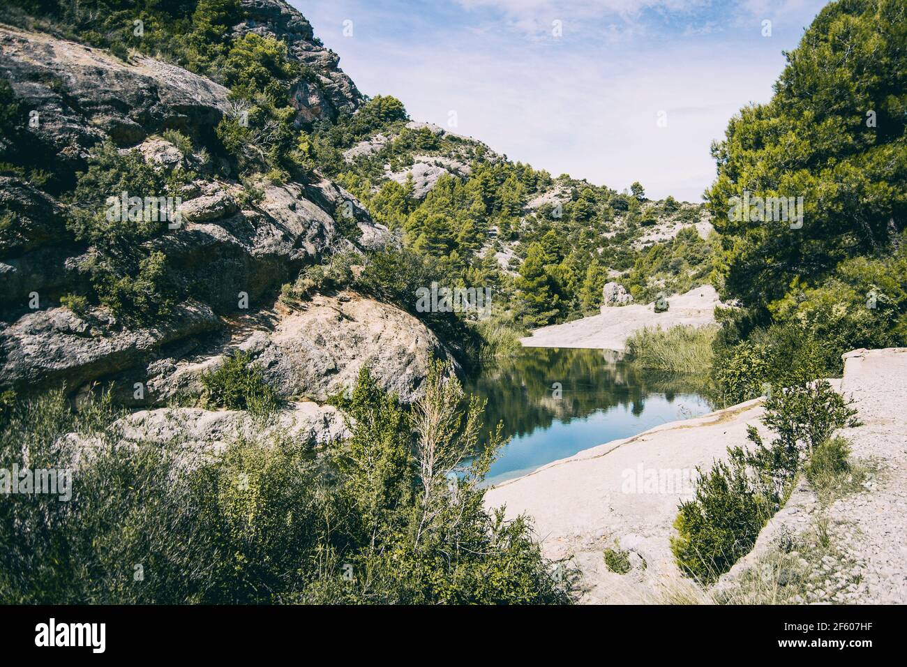 Ruhiger Bach mit vielen Steinen auf dem Weg, umgeben von viel grünem Wald in katalonien, spanien Stockfoto