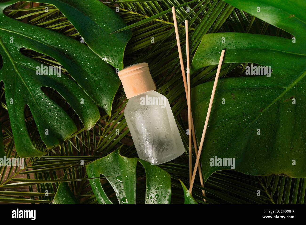 Aroma-Schilf-Diffusor, Raumduft-Flasche mit Rattan-Sticks und Duft von  Frische auf dunklem Hintergrund mit grünen Palmblättern Stockfotografie -  Alamy