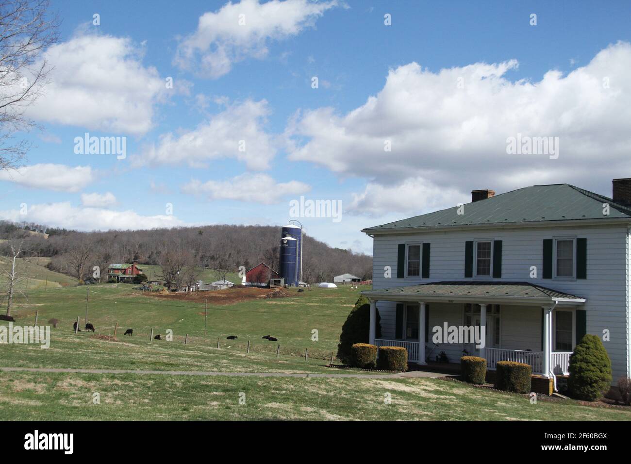 Eine Rinderfarm im ländlichen Virginia, USA Stockfoto