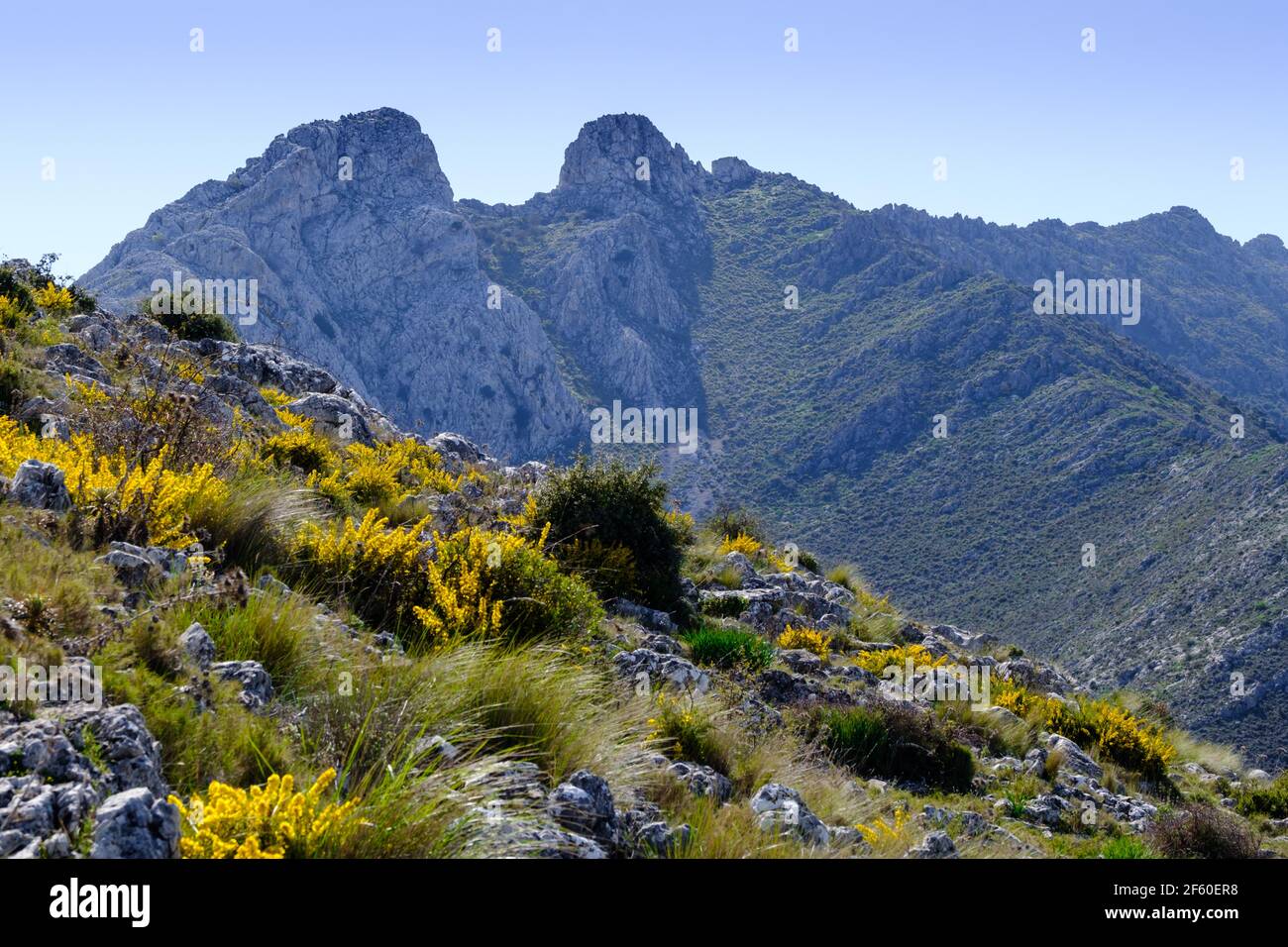 Wandern La Cuna Trail und Tajo de la U, Zafarraya Pass, Andalucía, Spanien, Europa Stockfoto