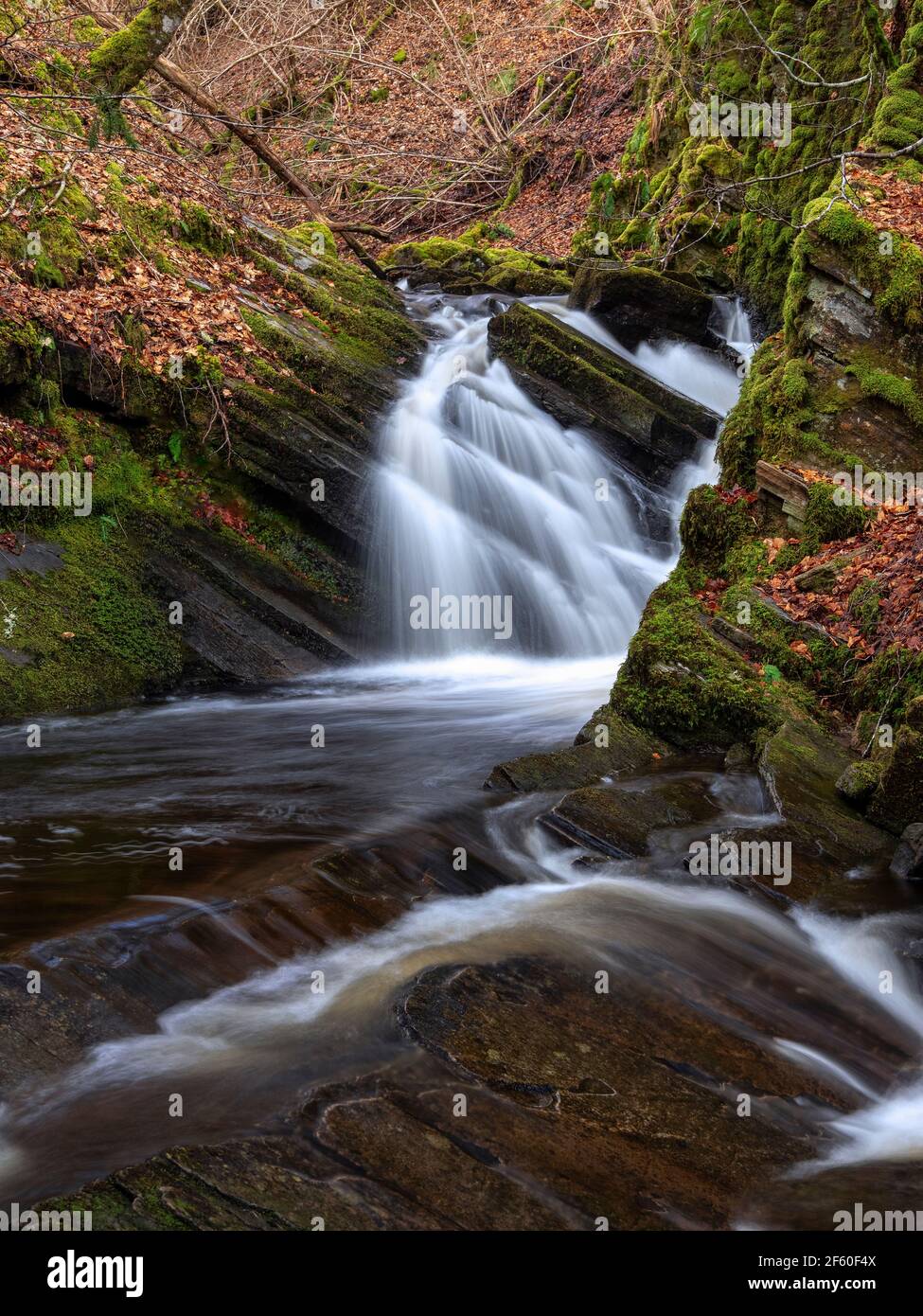 Camault Burn, Glen Urquhart, Highland, Schottland Stockfoto