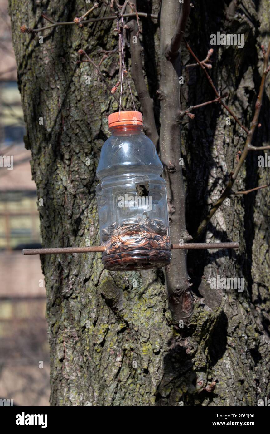 Ein selbstgemachter Vogelfutterhäuschen aus einem kleinen Stock und einer scheinbar leeren Gatorade-Flasche. In Flushing, Queens, New York. Stockfoto