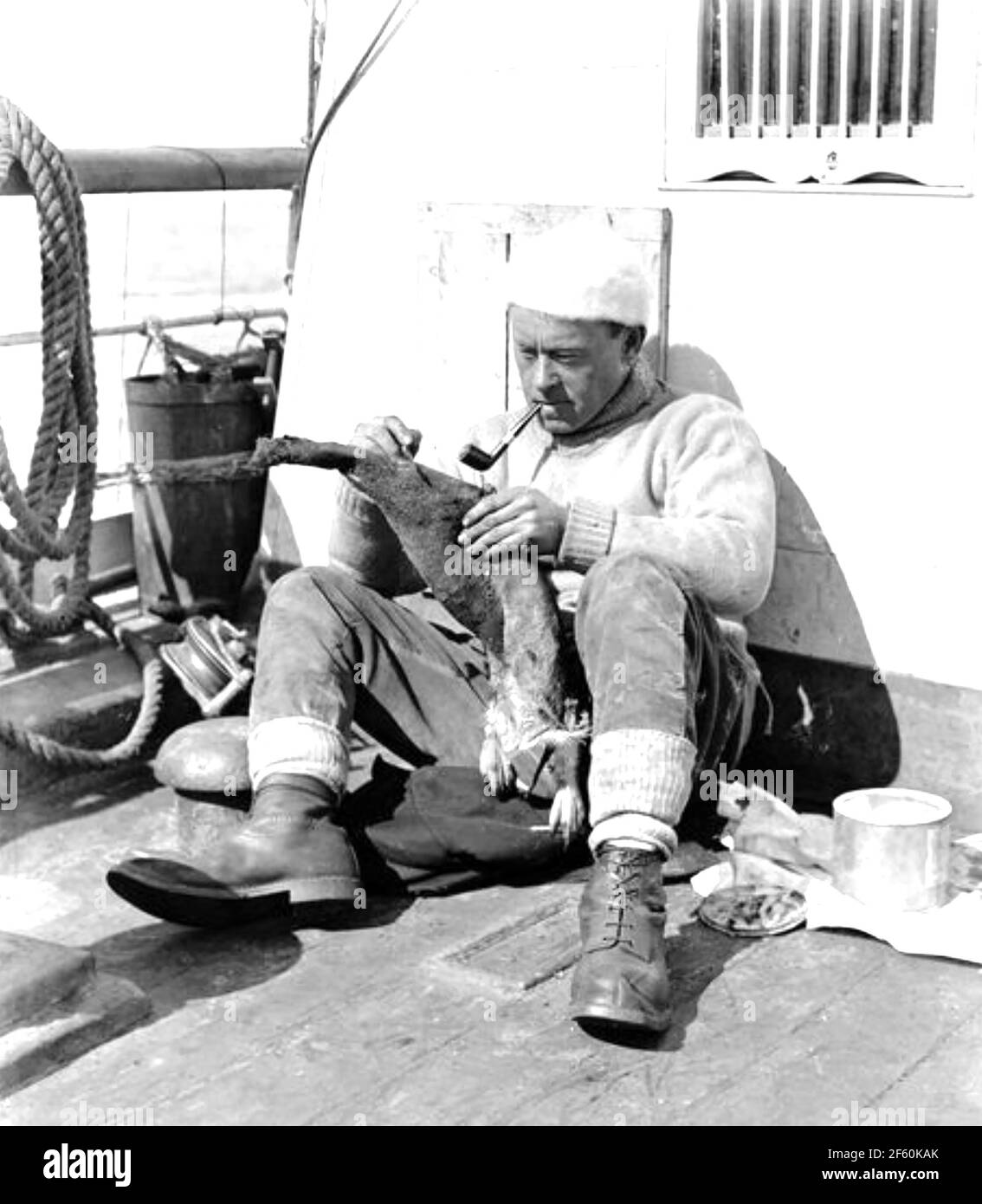 GEORGE MURRAY LEVICK (1876-1956) Englisch antarktisforscher und Marinechirurg Enthäutung eines Pinguins im Jahr 1910 während Robert Falcon Scotts Terra Nova Expedition 1911-1912 Stockfoto