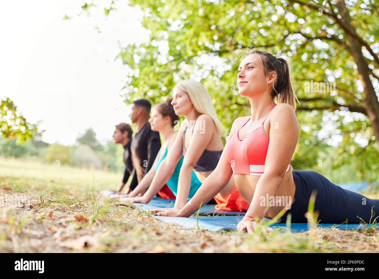 Gruppe von Menschen in Yoga-Klasse tun Stretching-Übung in cobra Position in der Natur Stockfoto