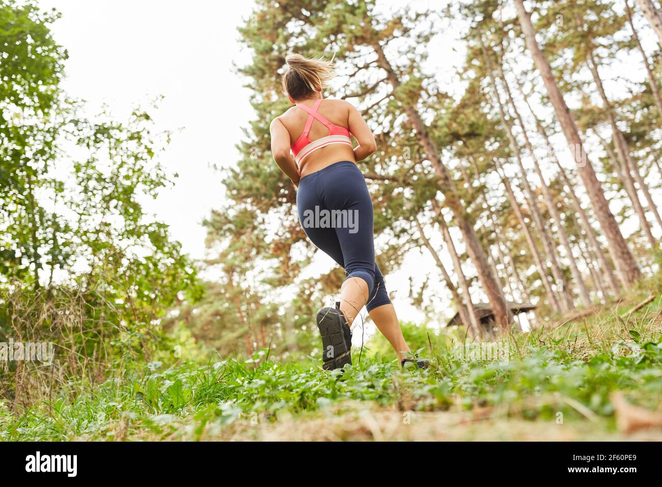 Junge Frau trainiert Ausdauer beim Langlauf oder Joggen Natur Stockfoto