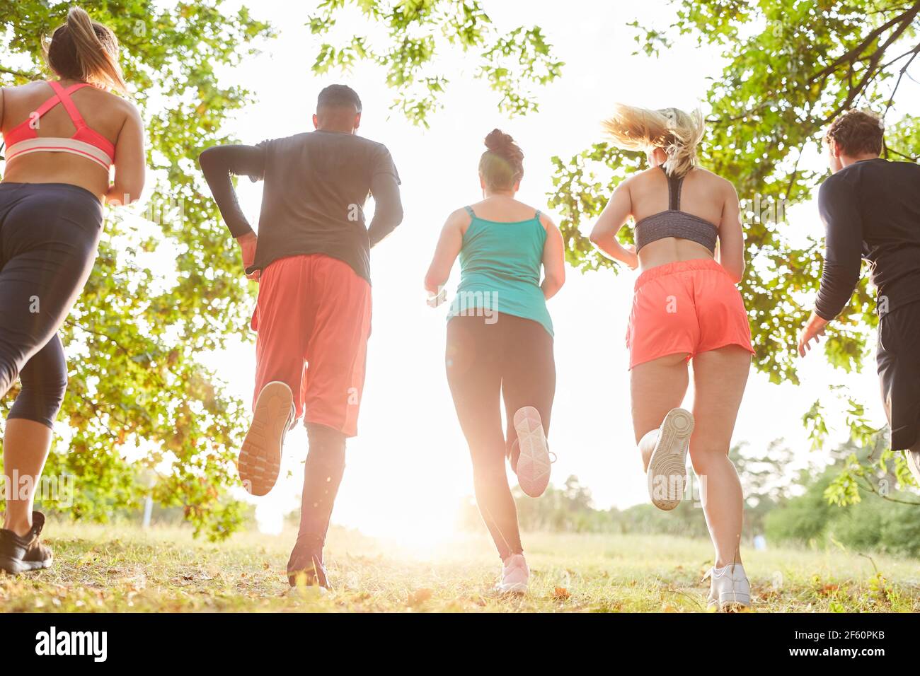 Gruppe von jungen Leuten als Team, das Langlauf macht Für Fitness in der Natur im Sommer Stockfoto