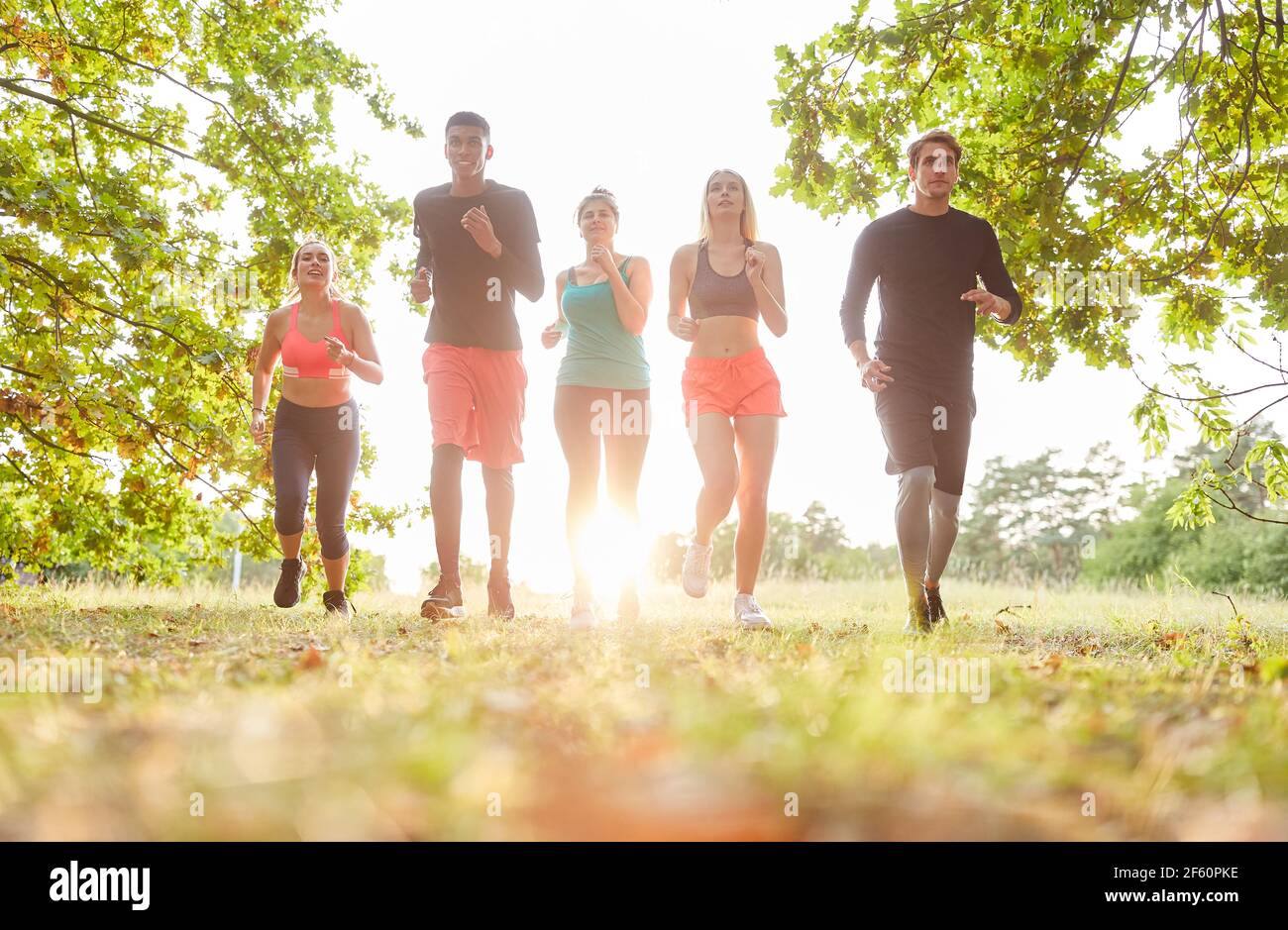 Gruppe von Freunden joggen gemeinsam im Sommer in der Natur Stockfoto