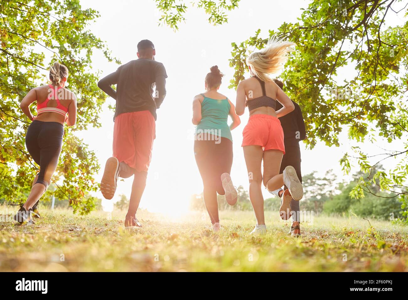 Gruppe von jungen Menschen Cross Country Laufen oder Joggen in Natur im Sommer Stockfoto