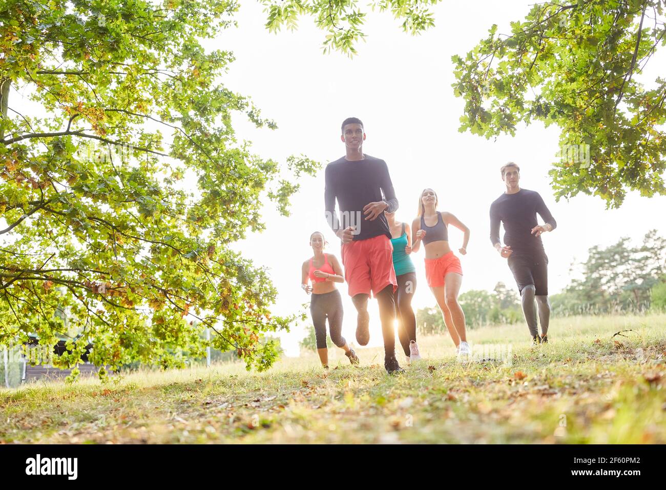 Gruppe von jungen Menschen tun Cross-Country-Laufen für Fitness und Ausdauer in der Natur im Sommer Stockfoto