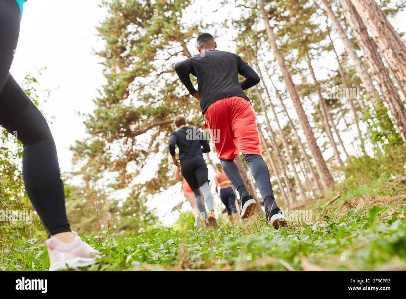 Junge Menschen tun Cross-Country oder Cross-Country-Läufe in der Natur für Fitness und Ausdauer Stockfoto
