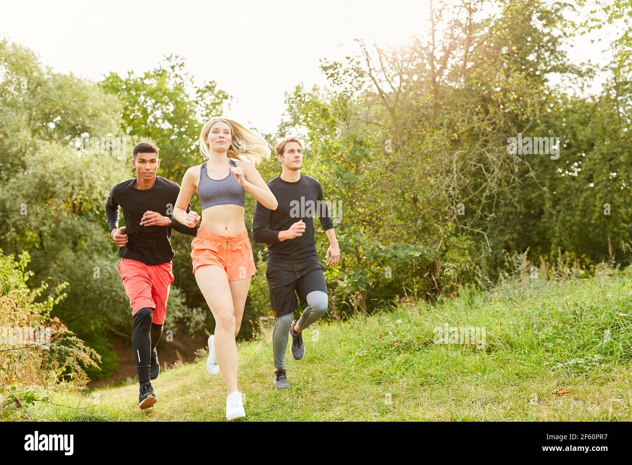 Junge Leute Langlaufen in der Natur als Ausdauer und Fitness Schulung Stockfoto