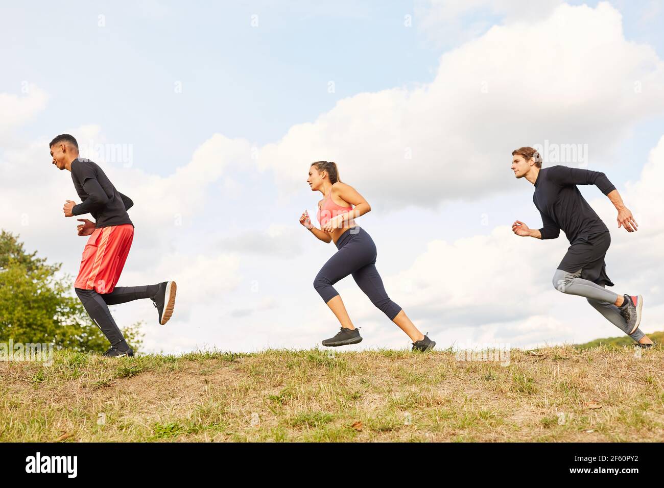 Gruppe junger Menschen trainiert Ausdauer beim Joggen oder Cross Land laufen in der Natur Stockfoto