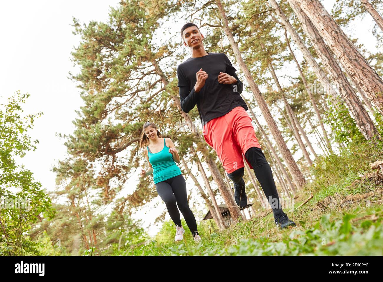 Junge Menschen in Langlauf- oder Langlaufloks trainieren ihre Ausdauer In der Natur Stockfoto