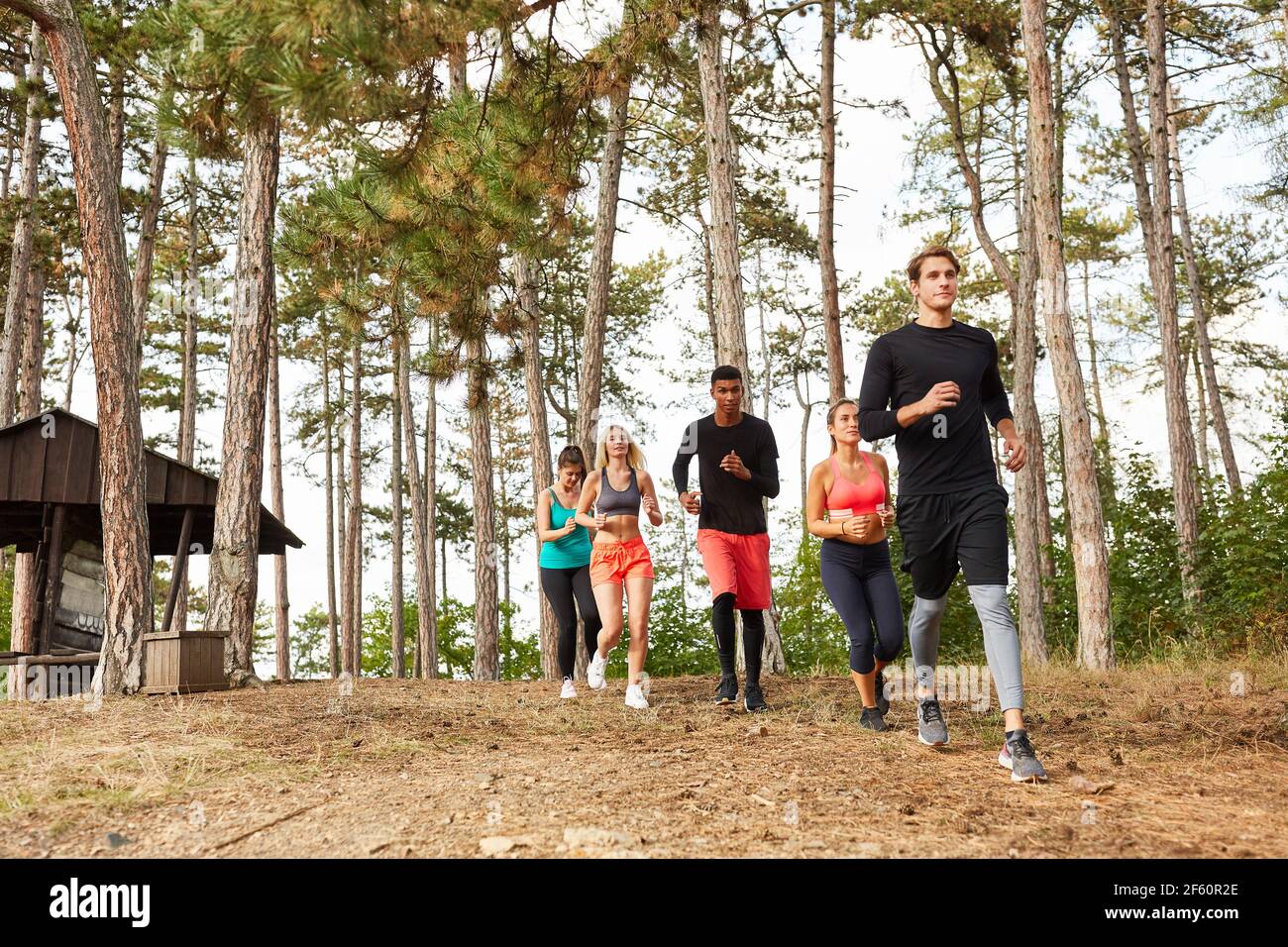 Gruppe von Freunden Joggen in der Natur im Sommer für Ausdauer Und Gesundheit Stockfoto