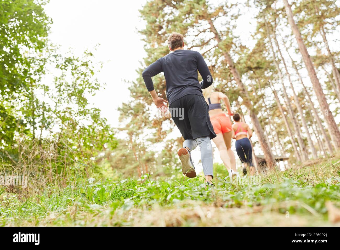 Gruppe von Freunden, die Langlauf in der Natur in der tun Wald als Ausdauertraining Stockfoto