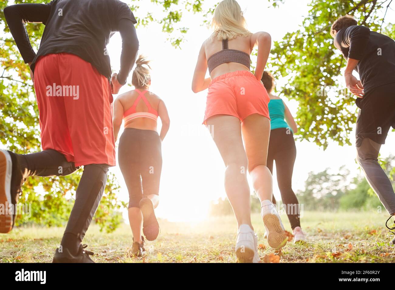 Junge Menschen trainieren Ausdauer durch Langlauf in einem Lauf Gruppe in der Natur Stockfoto