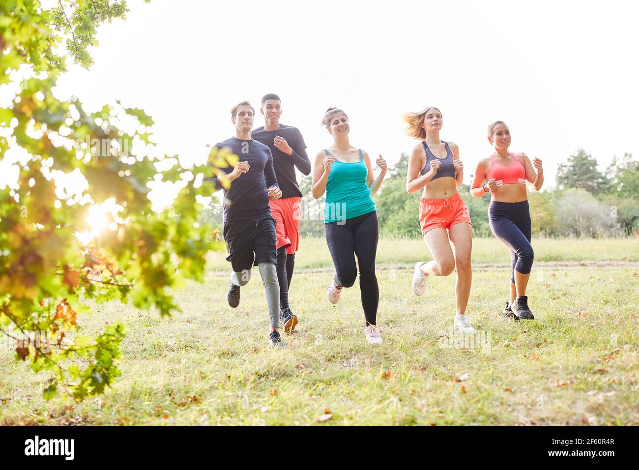 Eine Gruppe von Freunden trainiert Ausdauer und Fitness beim Langlauf In der Natur im Park Stockfoto