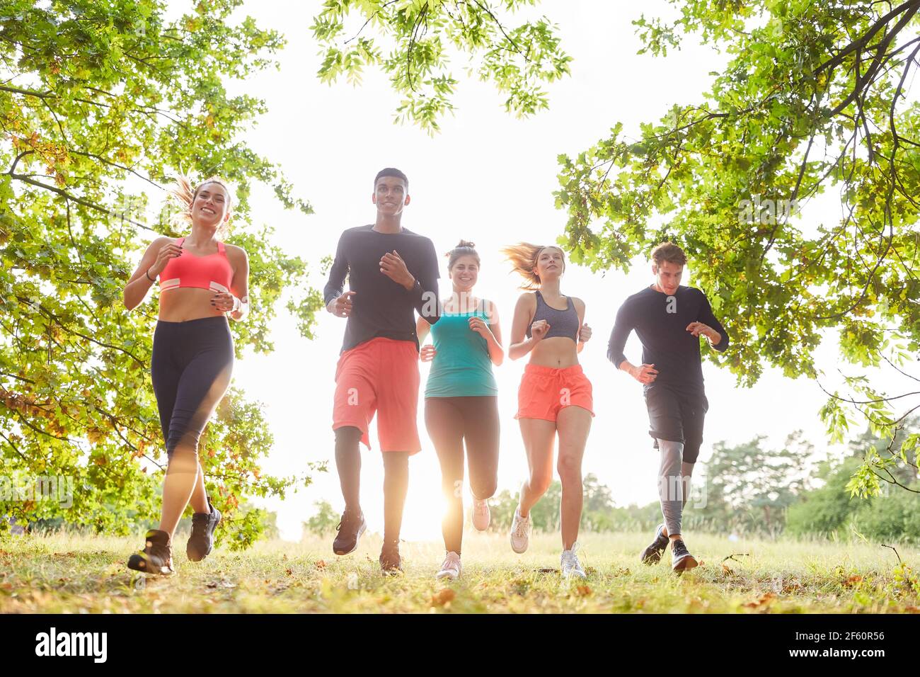 Gruppe von jungen Menschen als Läufer Team beim Lauftraining Gemeinsam im Park im Sommer Stockfoto