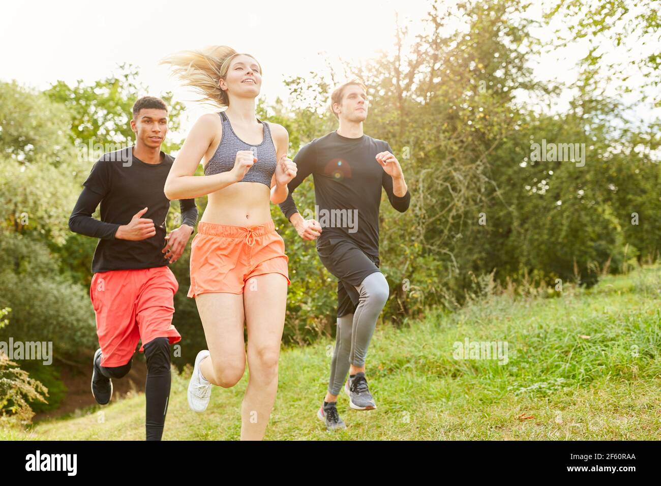 Junge Menschen trainieren beim Langlauf ihre Ausdauer und Fitness In der Natur im Sommer Stockfoto