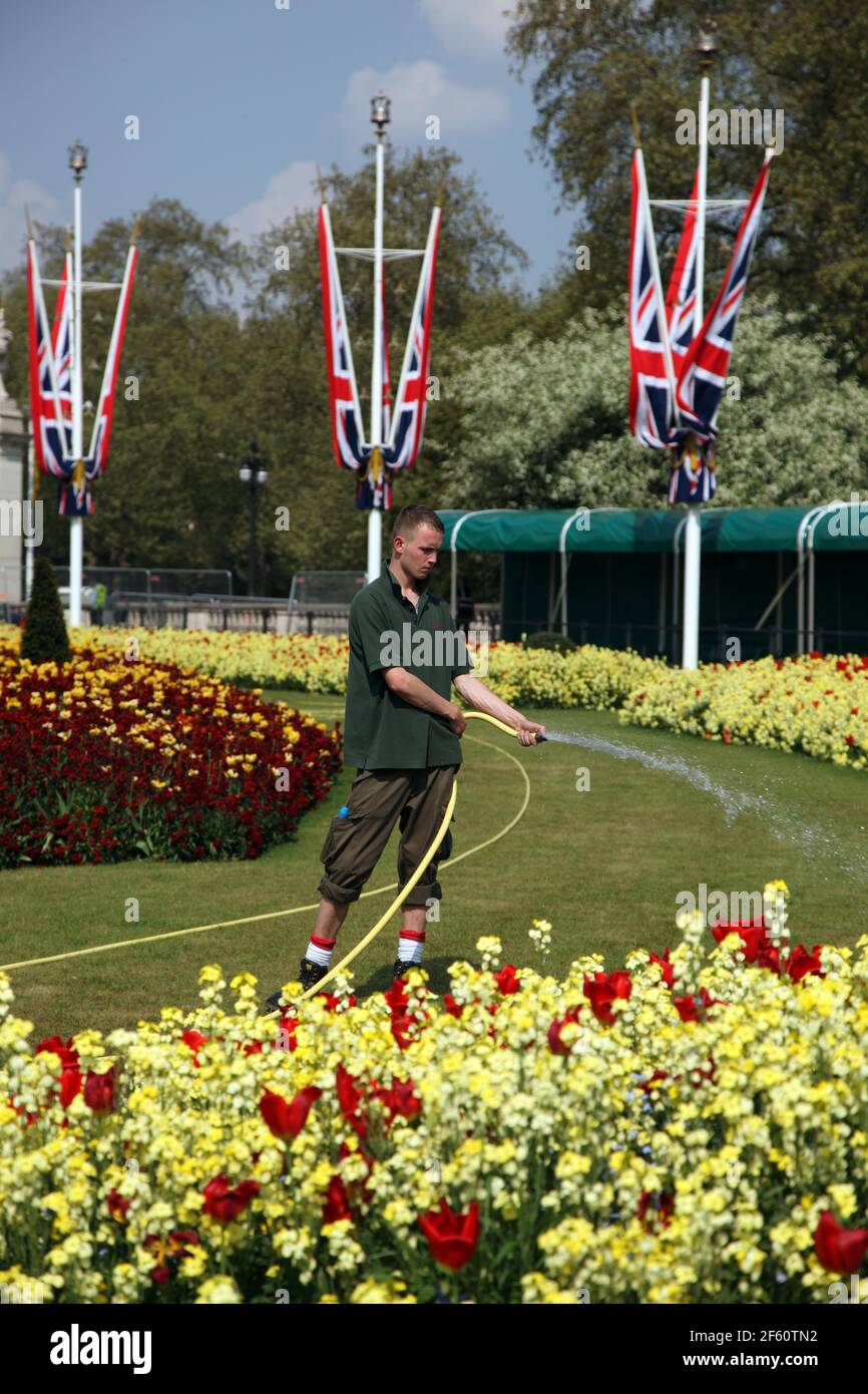 21. April 2011. London, England. Ein Gärtner des Royal Parks bewässert die Blumen und das Gras vor dem Buckingham Palace im Vorfeld zu Catherine Middletons m Stockfoto