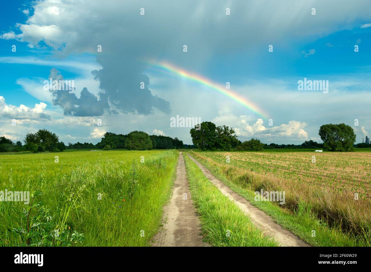 Regenbogen am Himmel und Straße durch die Felder, Nowiny, Lubelskie, Polen Stockfoto