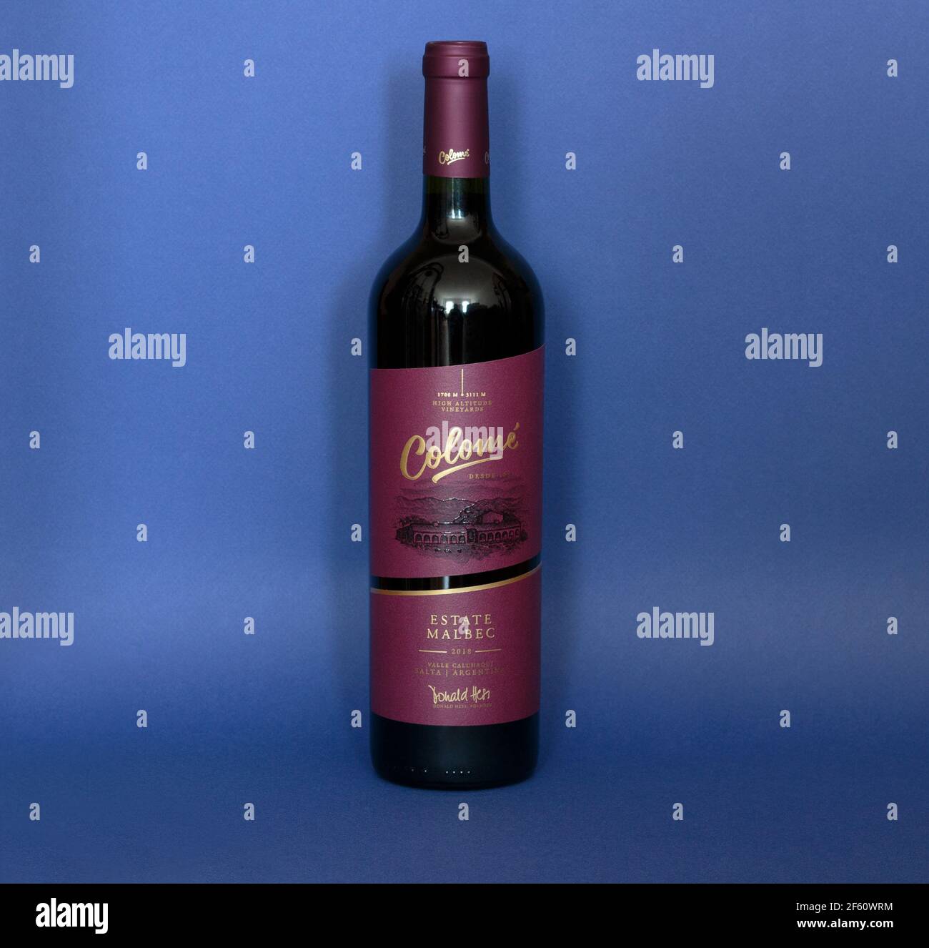 Flasche argentinischer Malbec Rotwein der Marke Colome von hoch Höhenwachstum auf blauem Hintergrund Stockfoto