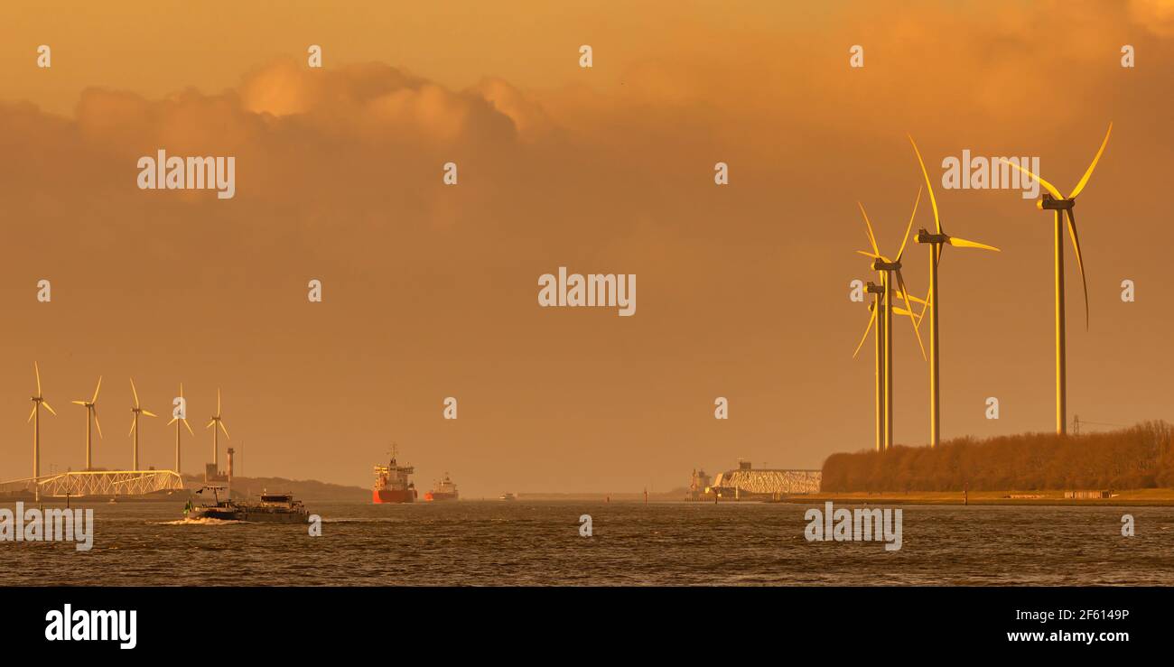 Vorbei an Frachtschiffen auf dem Nieuwe Waterweg bei Sonnenuntergang in Europoort, Rotterdam Hafen Stockfoto