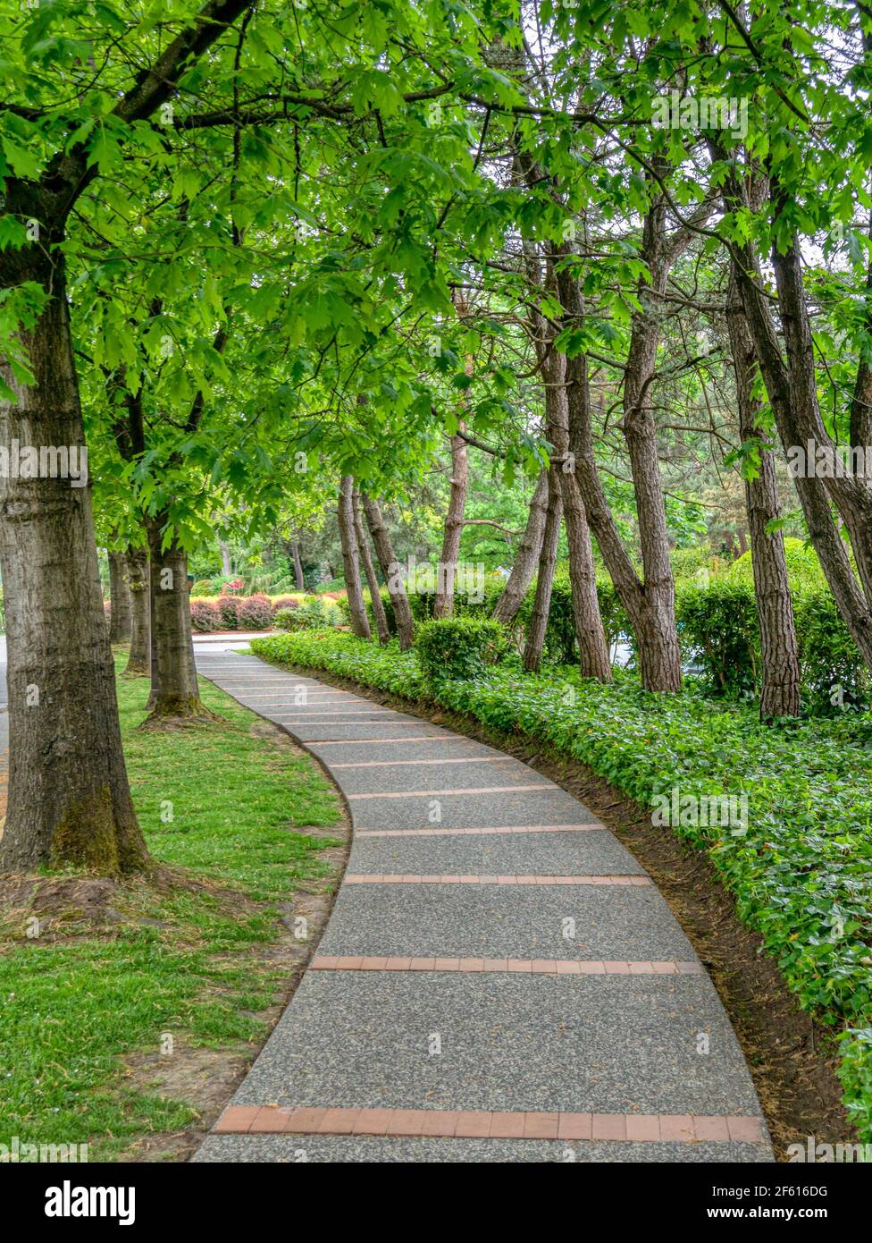 Gepflasterter Pfad in einem Park durch ein Wohngebiet in Vancouver, Kanada Stockfoto