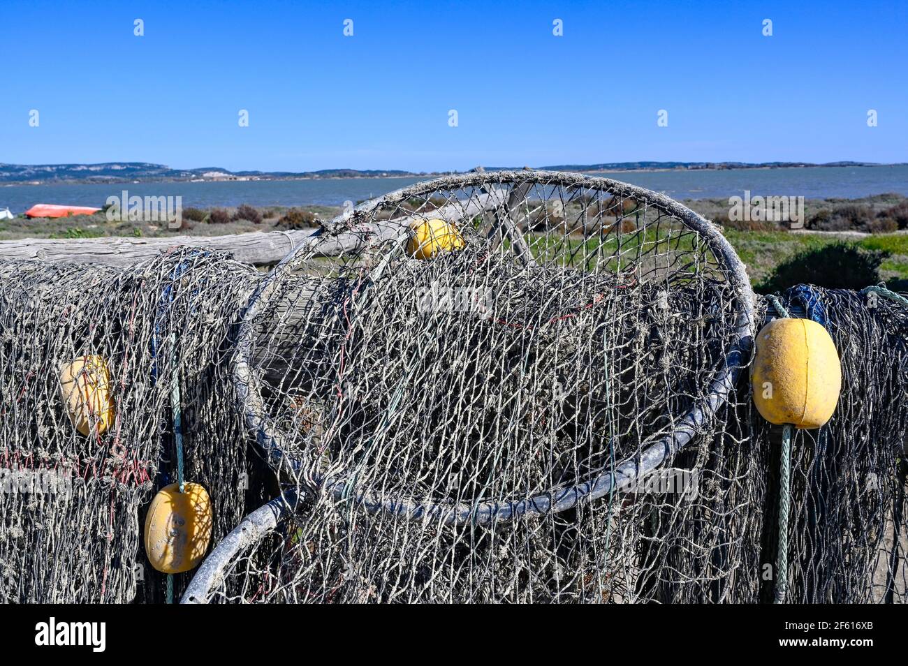 Aal Angelausrüstung und Netze trocknen in der Sonne bei Bages, Parc naturel régional de la Narbonnaise en Méditerranée, Aude, Frankreich Stockfoto