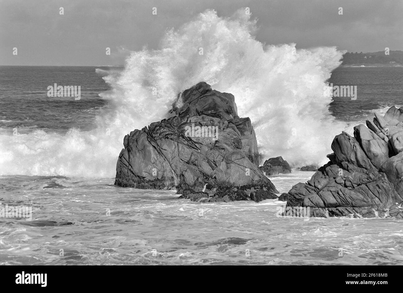 Crashing Wave, Point Lobos State Reserve Stockfoto