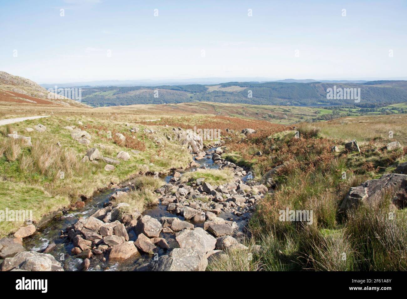 Torver Beck mit dem Grizedale Wald in der Ferne betrachtet Von der Torver-Brücke auf dem Walna Scar Rd Coniston Lake Distrikt Cumbria England Stockfoto