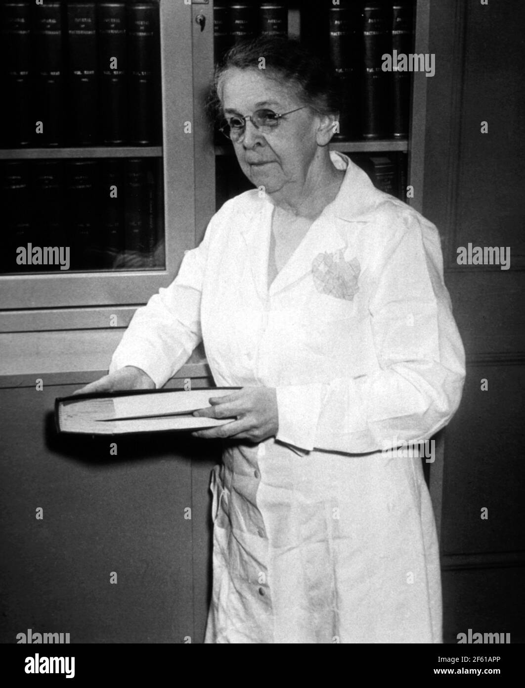 Alice Evans, Amerikanische Mikrobiologin Stockfoto