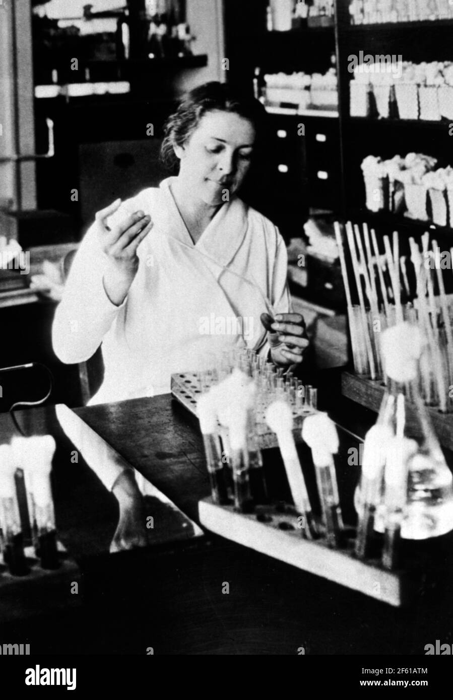 Alice Evans, Amerikanische Mikrobiologin Stockfoto