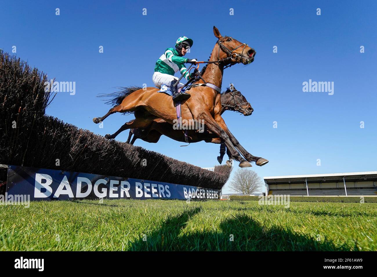 Matt Griffiths reitet Ballybough Nora räumt bei jedem Rennen einen Zaun Live on Racing TV Mares' Handicap Chase auf der Wincanton Racecourse auf der Wincanton Racecourse. Bilddatum: Montag, 29. März 2021. Stockfoto