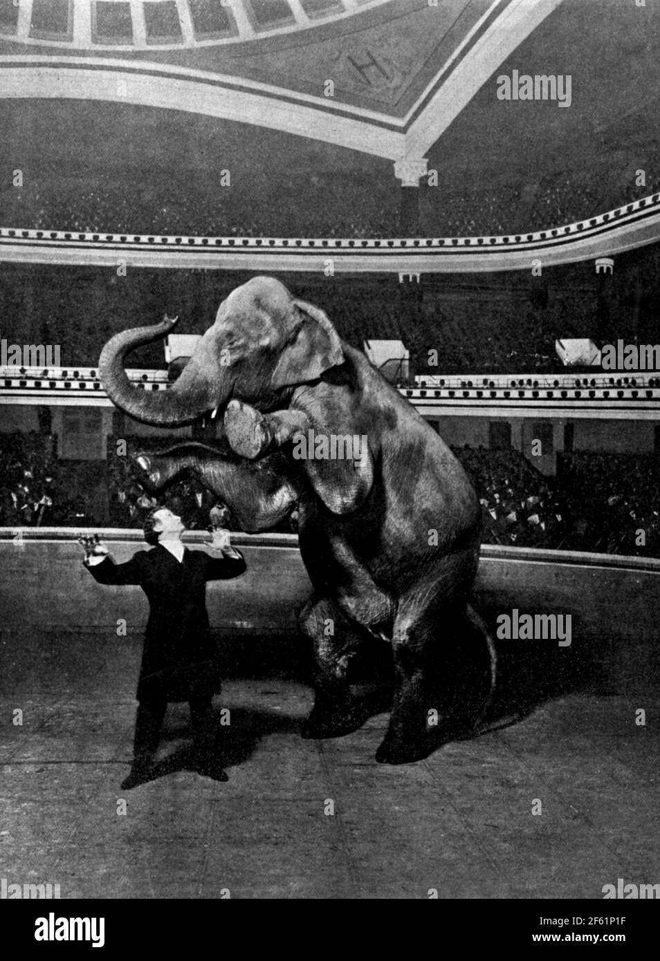 Harry Houdini, Vanishing Elephant, 1918 Stockfoto