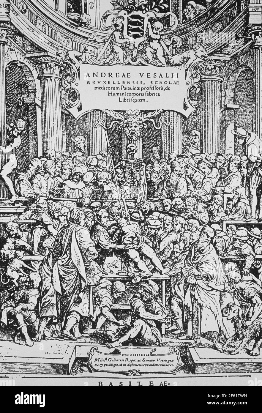 'De humani corporis fabrica', Vesalius Stockfoto