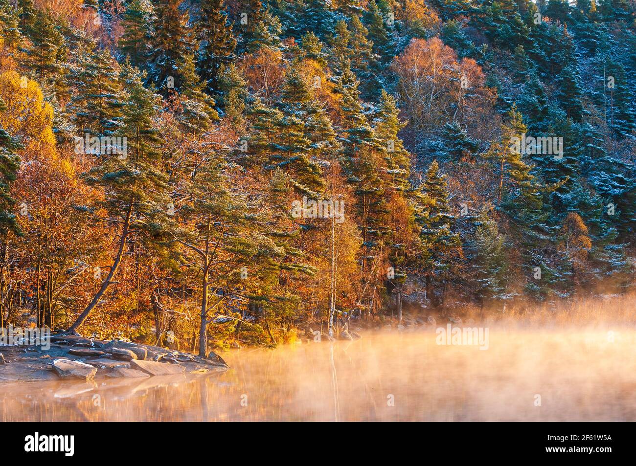 Morgennebel am Herbstsee Stockfoto