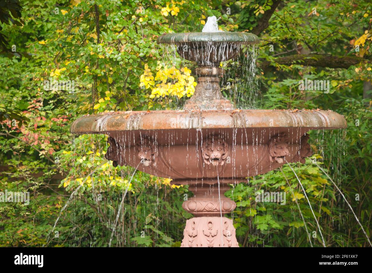 Herbstgartenbilder Stockfoto