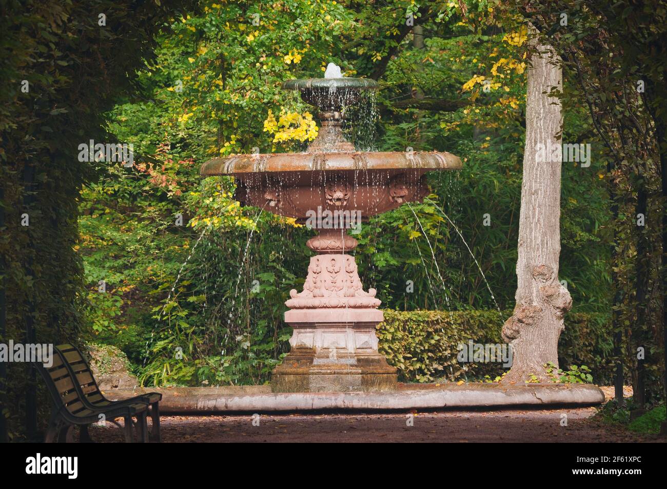 Herbstgartenbilder Stockfoto