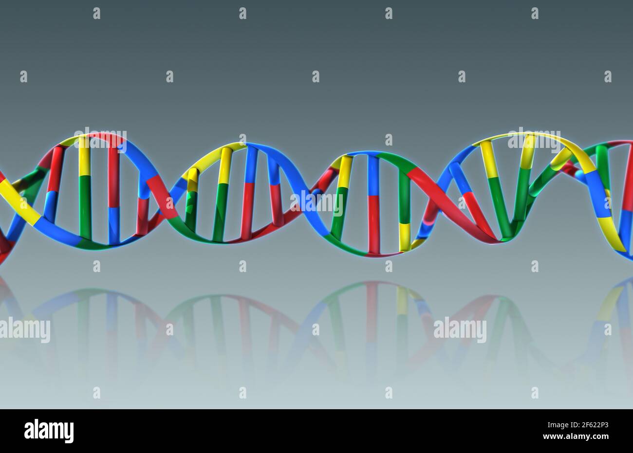 DNA, Ribbon Model Stockfoto